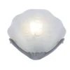 Seashell wall light 212 - Image 2